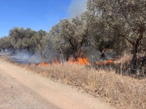 צילום: דוברות כבאות והצלה לישראל