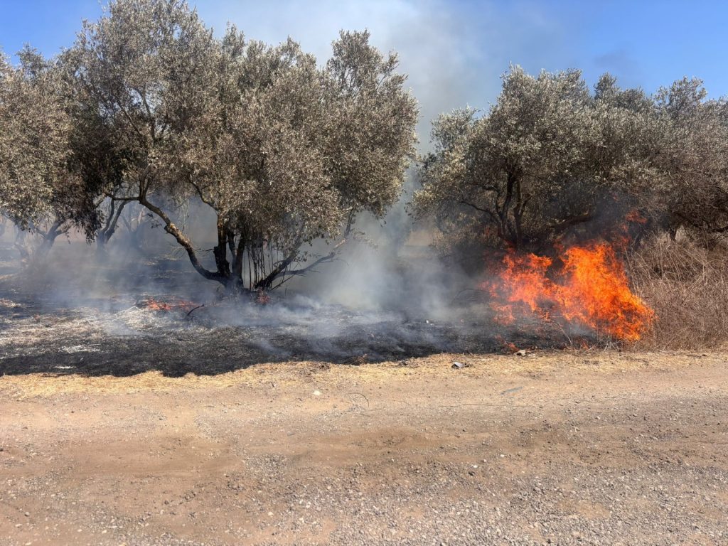 צילום: דוברות כבאות והצלה לישראל