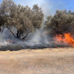 צילום: דוברות כבאות והצלה לישראל