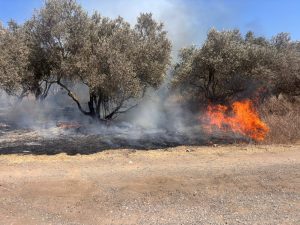 צילום: דוברות כבאות והצלה לישראל