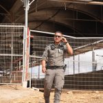 תיעוד מפעילות הכוחות. צילום: דוברות המשטרה