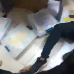תיעוד שלב איתור ומעצר החשודים בסיוע כלב הסיור המשטרתי צילום: דוברות המשטרה
