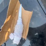 צילום: דוברות המשטרה